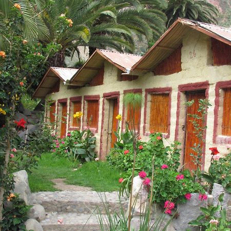 Paraiso Las Palmeras Lodge Cabanaconde Dış mekan fotoğraf