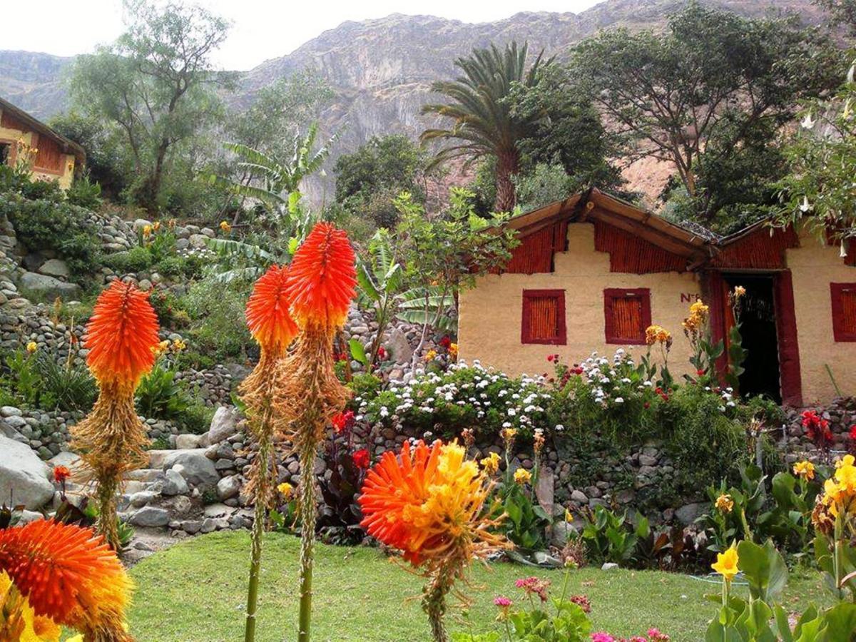 Paraiso Las Palmeras Lodge Cabanaconde Dış mekan fotoğraf