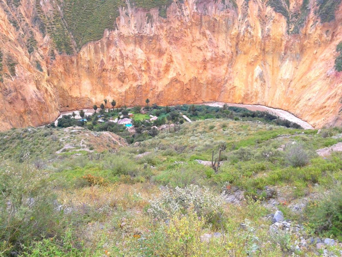 Paraiso Las Palmeras Lodge Cabanaconde Dış mekan fotoğraf