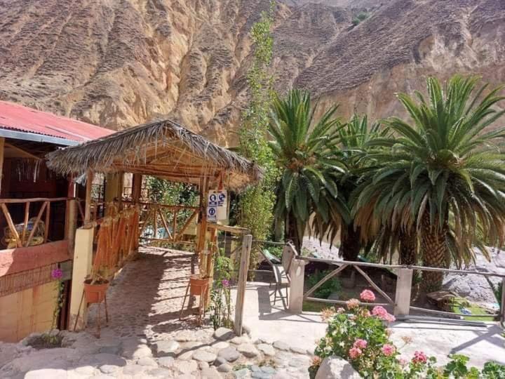 Paraiso Las Palmeras Lodge Cabanaconde Dış mekan fotoğraf